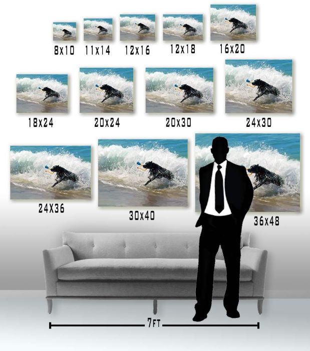 photosize