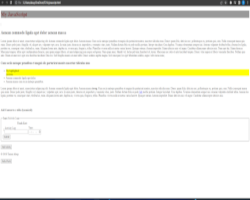 Javascript page