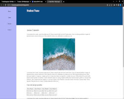 Layout Page